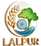 LALPUR VILLAGE